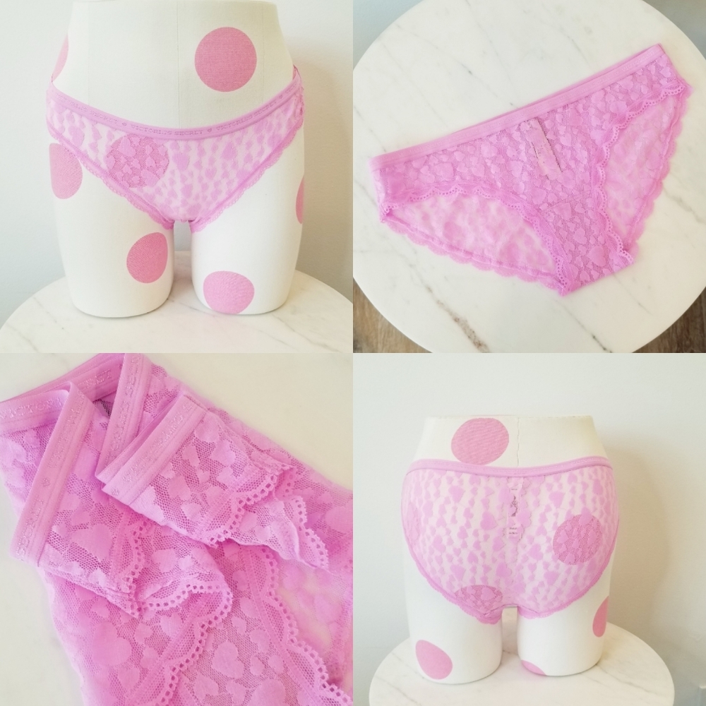Victoria's Secret Vintage Heart Sheer Mesh Lace Bikini Hipster Panty NWT